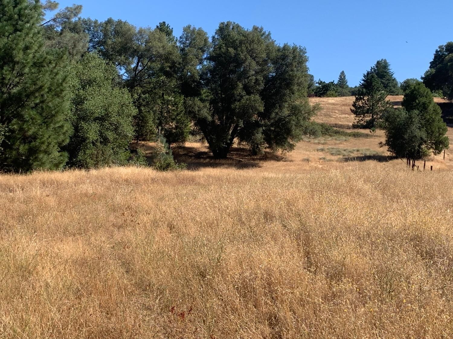 Property Photo:  5 Ac Hunters Path  CA 95684 