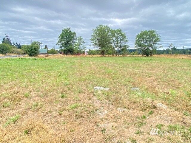 Property Photo:  219 Tennessee Road  WA 98596 