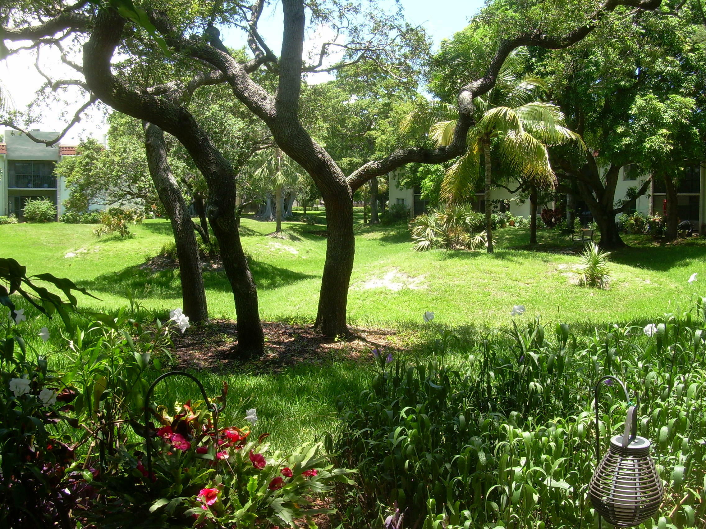 Property Photo: 130 NW 70th 1020 Street 1020 FL 33487