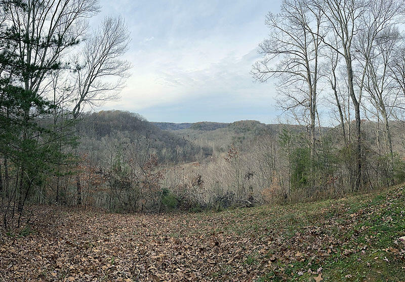 Property Photo:  Lot 145 Stillwater  KY 42642 