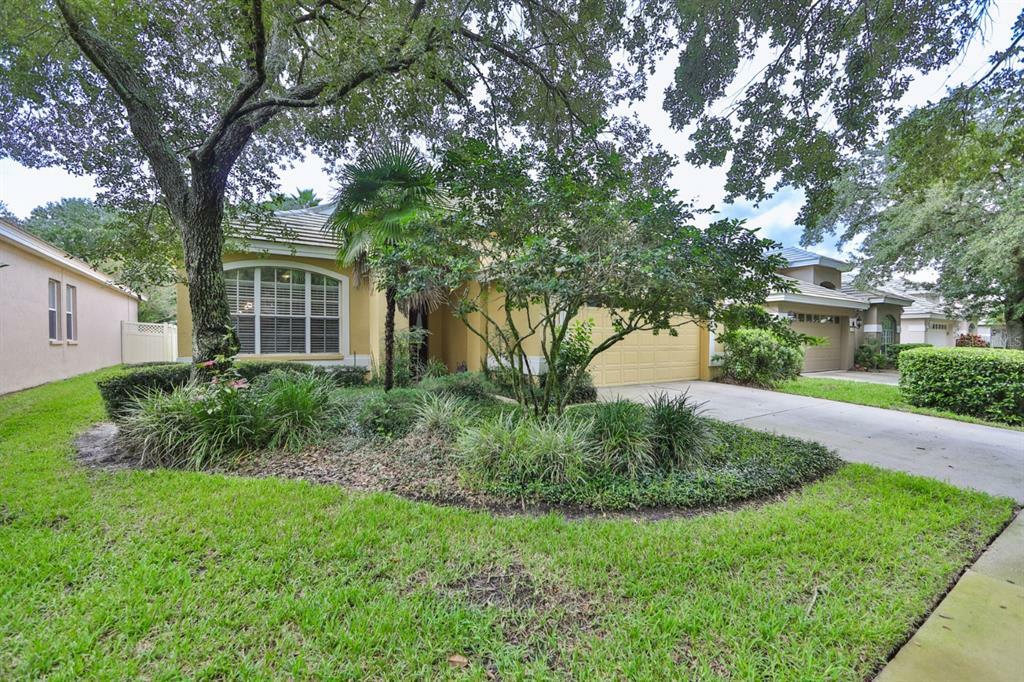 Property Photo:  17637 Nathans Drive  FL 33647 