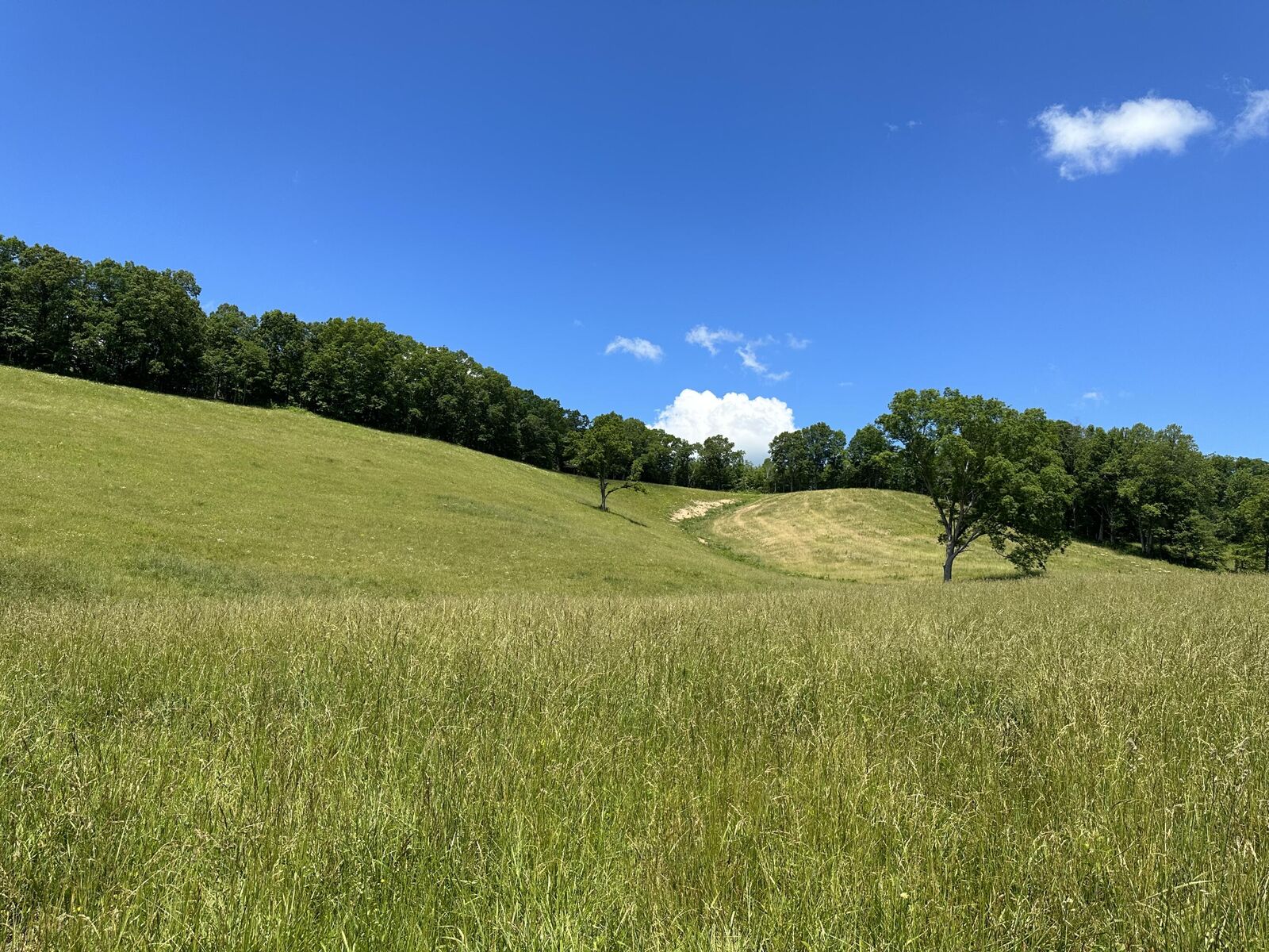 Property Photo: 2507 Mount Zion Road KY 40729