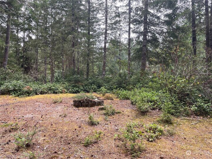 Property Photo:  1300 N Colony Surf Drive  WA 98555 