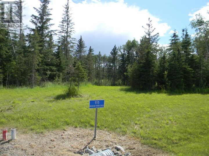 Property Photo:  115 Meadow Ponds Drive  AB T4T 1A7 