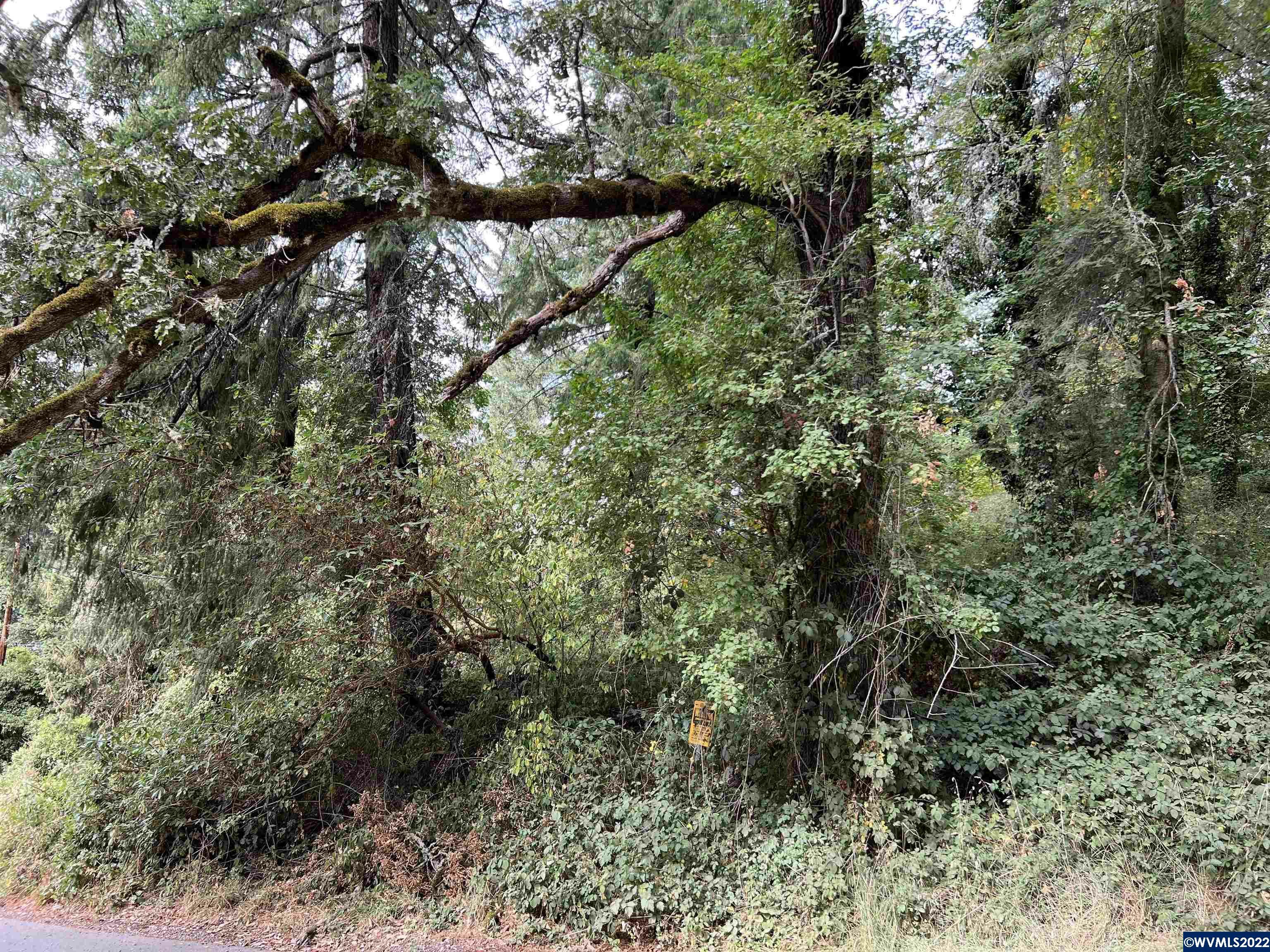 Property Photo:  River (Ta#527727) Rd S  OR 97302 