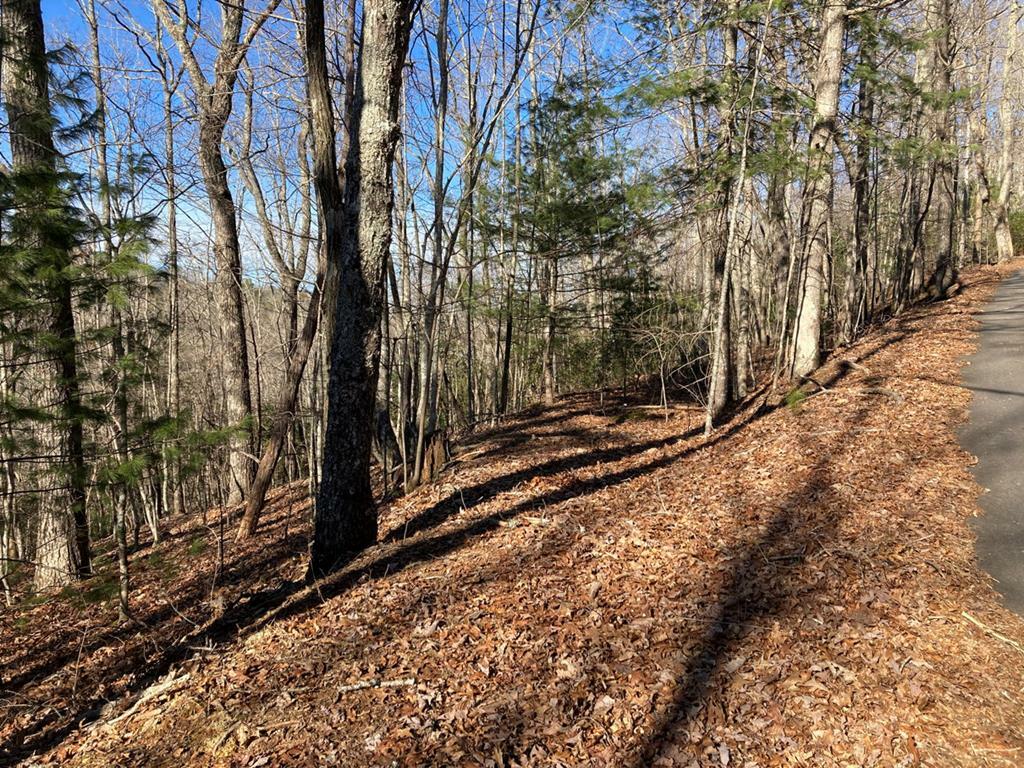 Property Photo:  Lot 31 High Ridge Road  NC 28906 