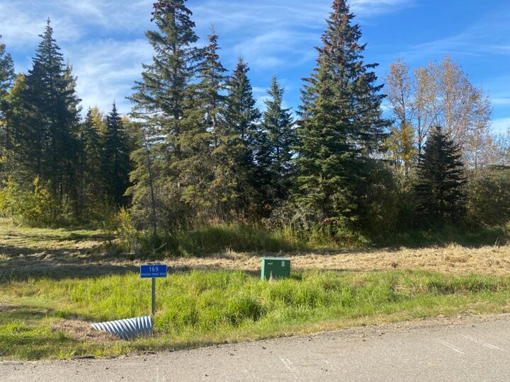 169 Meadow Ponds Drive — photo 1