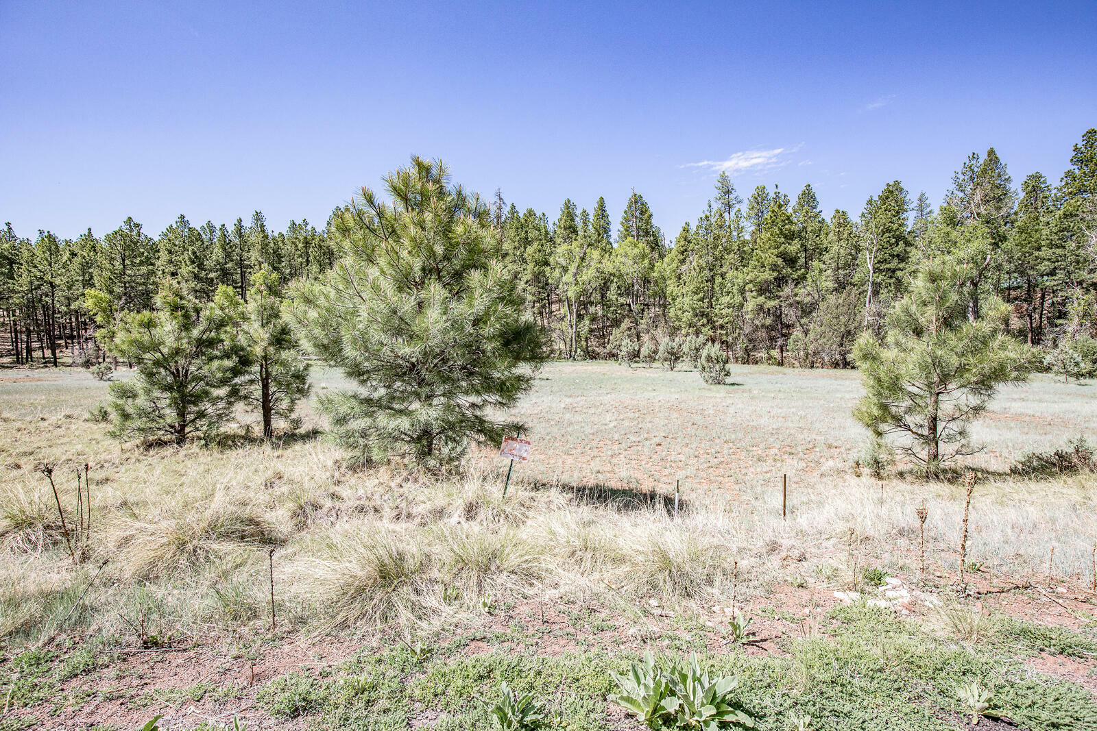 138 S Hunter Creek Drive  Payson AZ 85541 photo