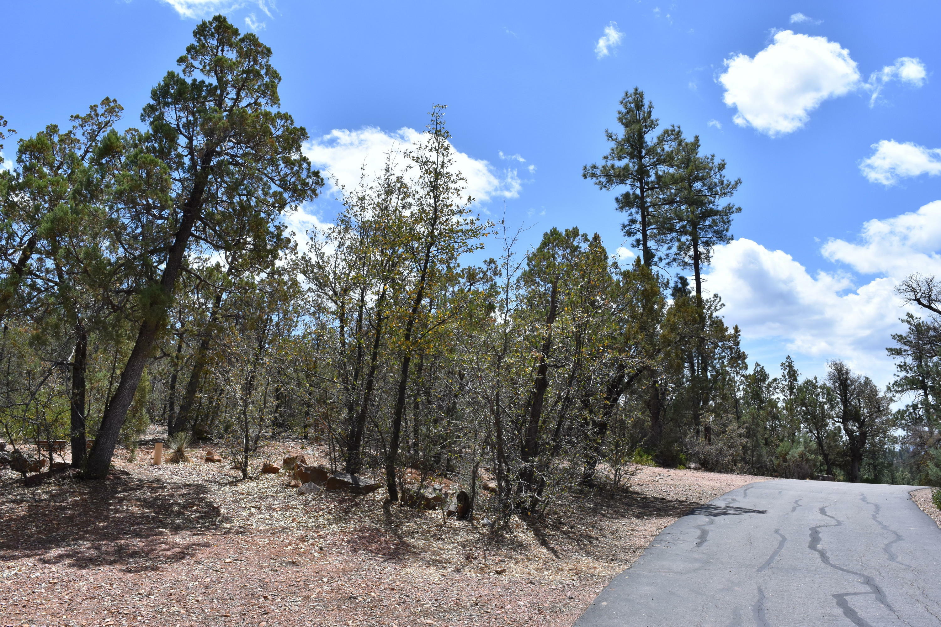 Property Photo:  3479 N Wilderness Trail  AZ 85544 