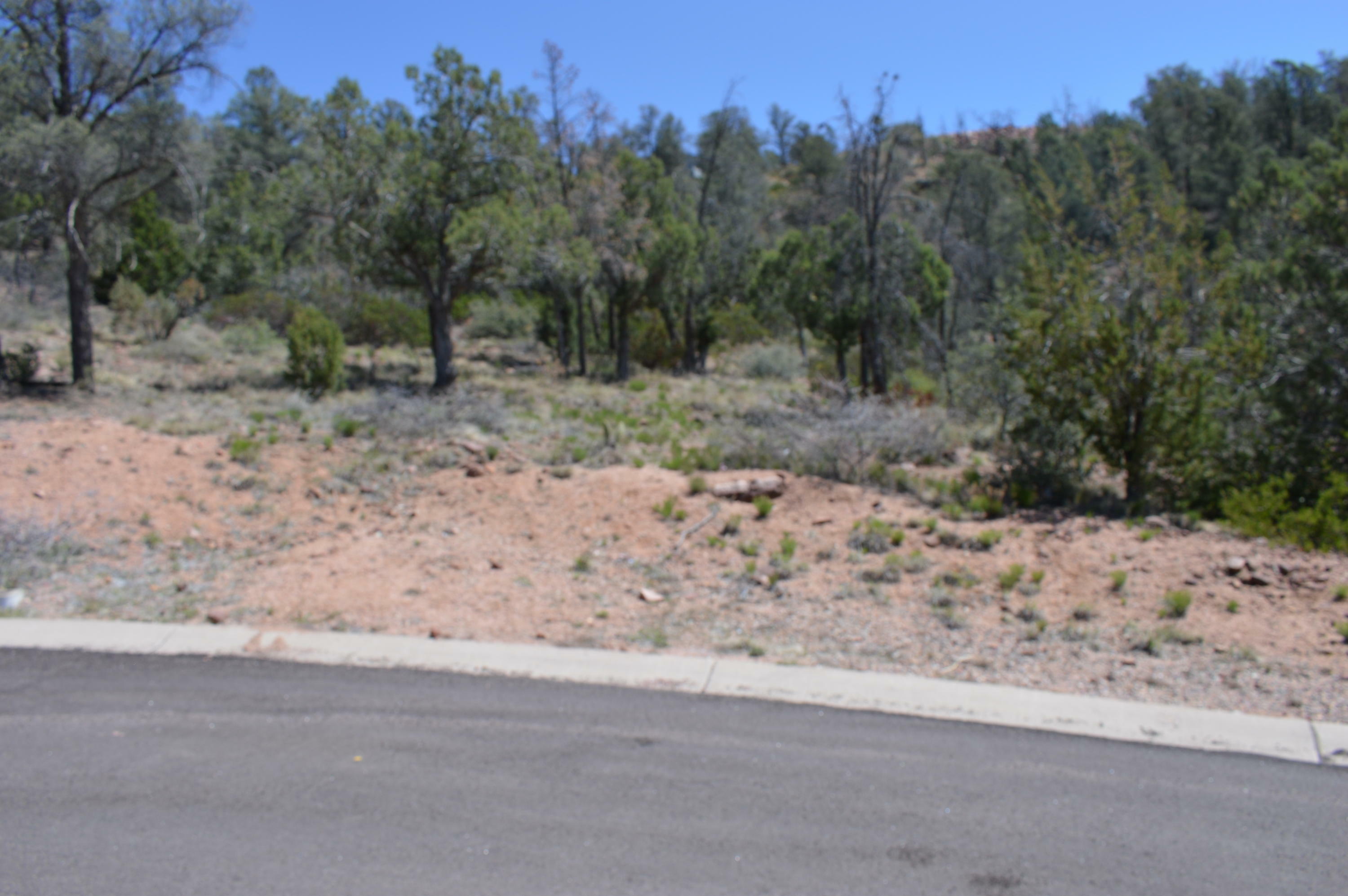 Property Photo:  807 N Thunder Ridge Circle  AZ 85541 