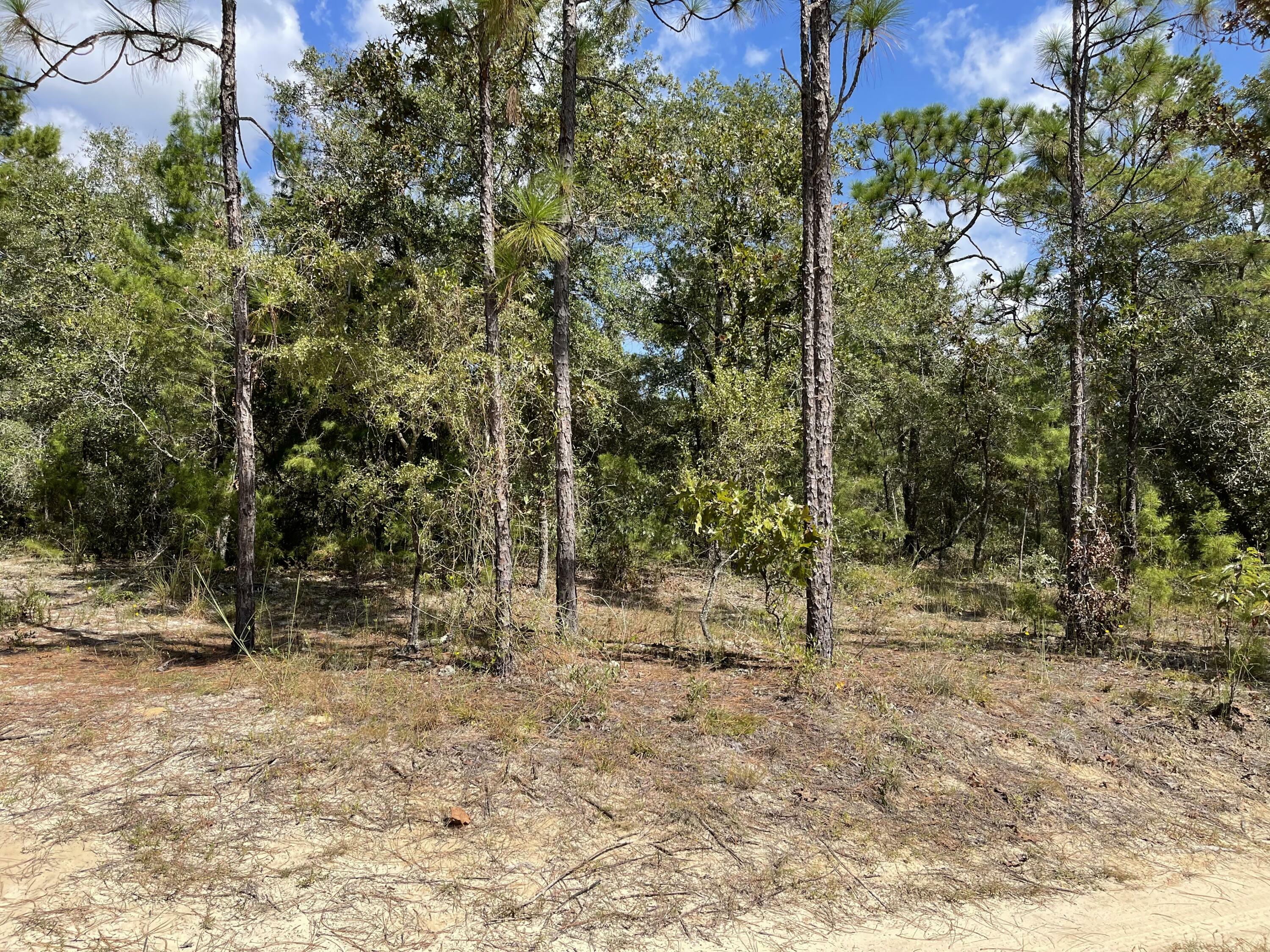 Property Photo:  Lot 12 E Big Cypress Drive Oakwood Hills Ii Blk 39  FL 32433 