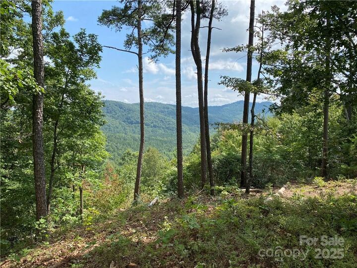 Property Photo: 61 Scenic Vista Drive 238 NC 28761
