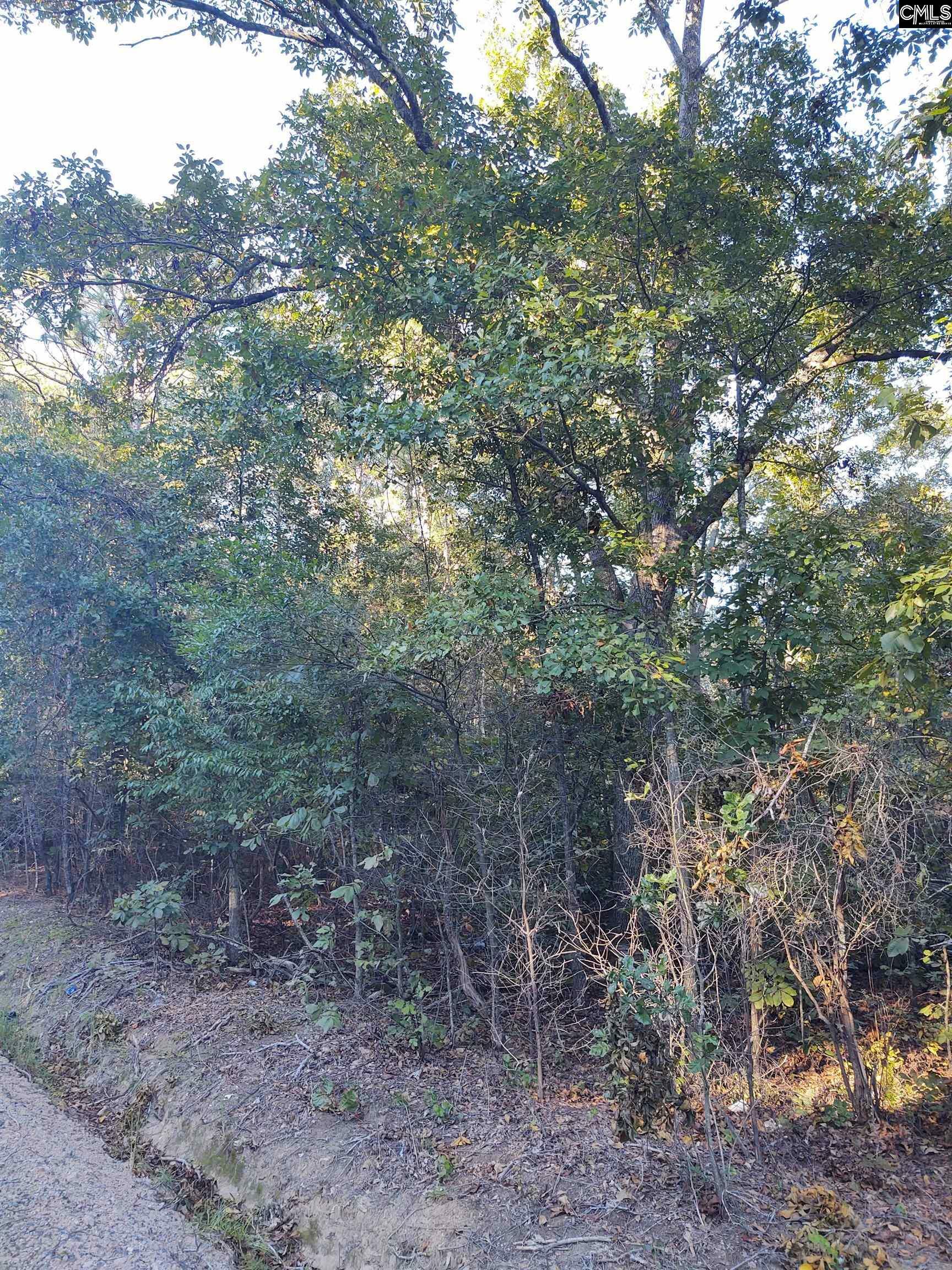 Property Photo: Tbd Wagner SC 29070