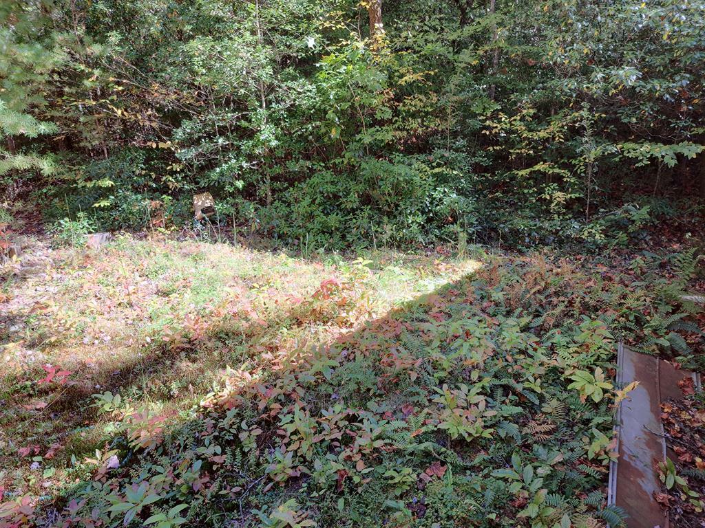 Lot #36 Mountain Spirit Way  Ellijay GA 30536 photo