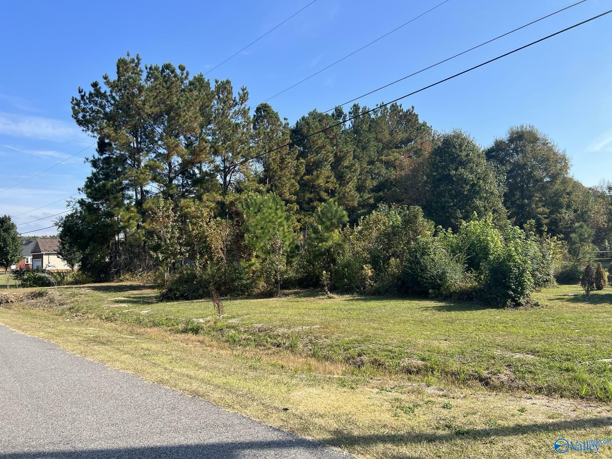 Property Photo:  Lot 4 Meadowlark Place  AL 35903 