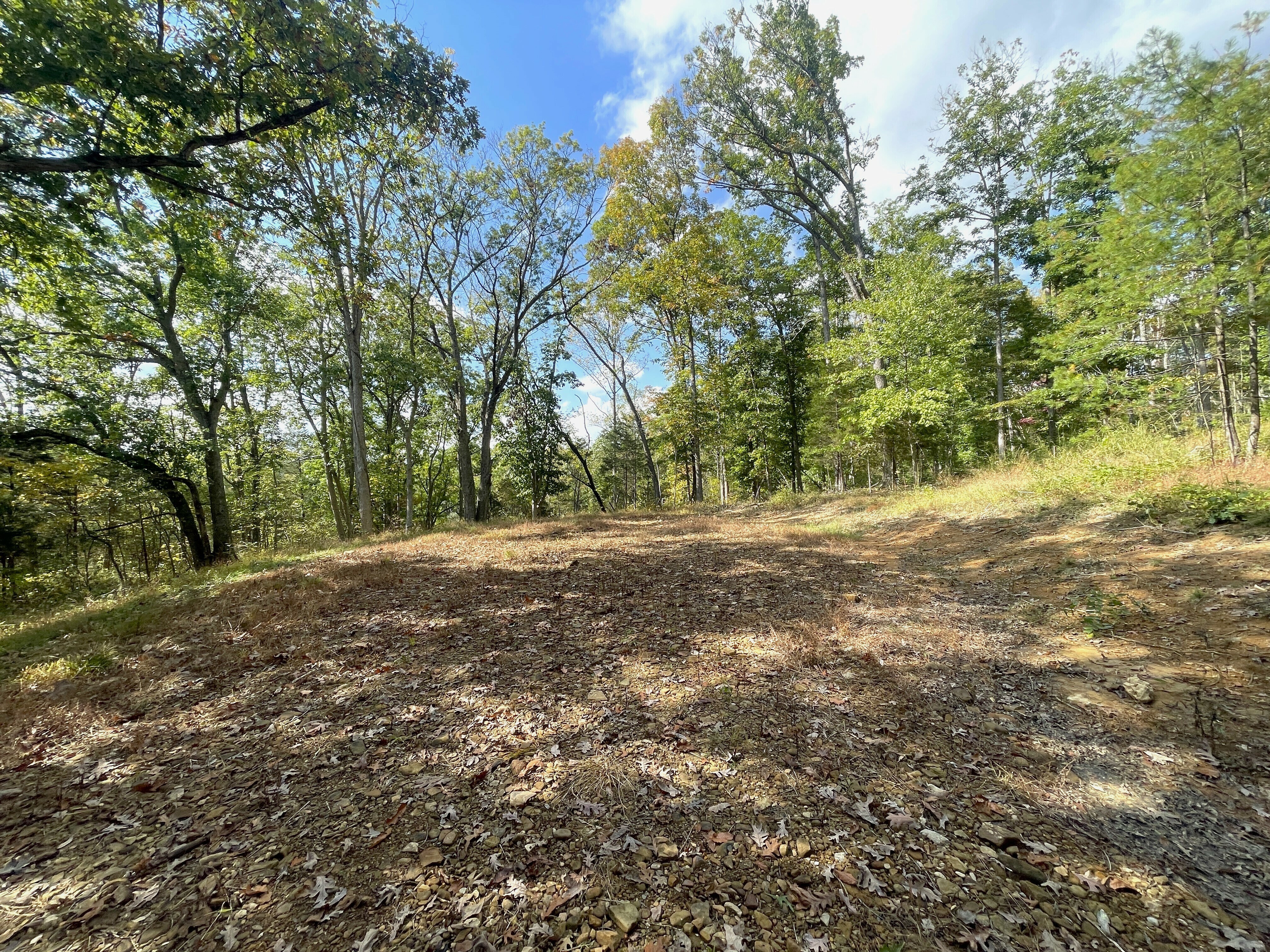 Property Photo:  St Rt Lot 1  OH 45660 