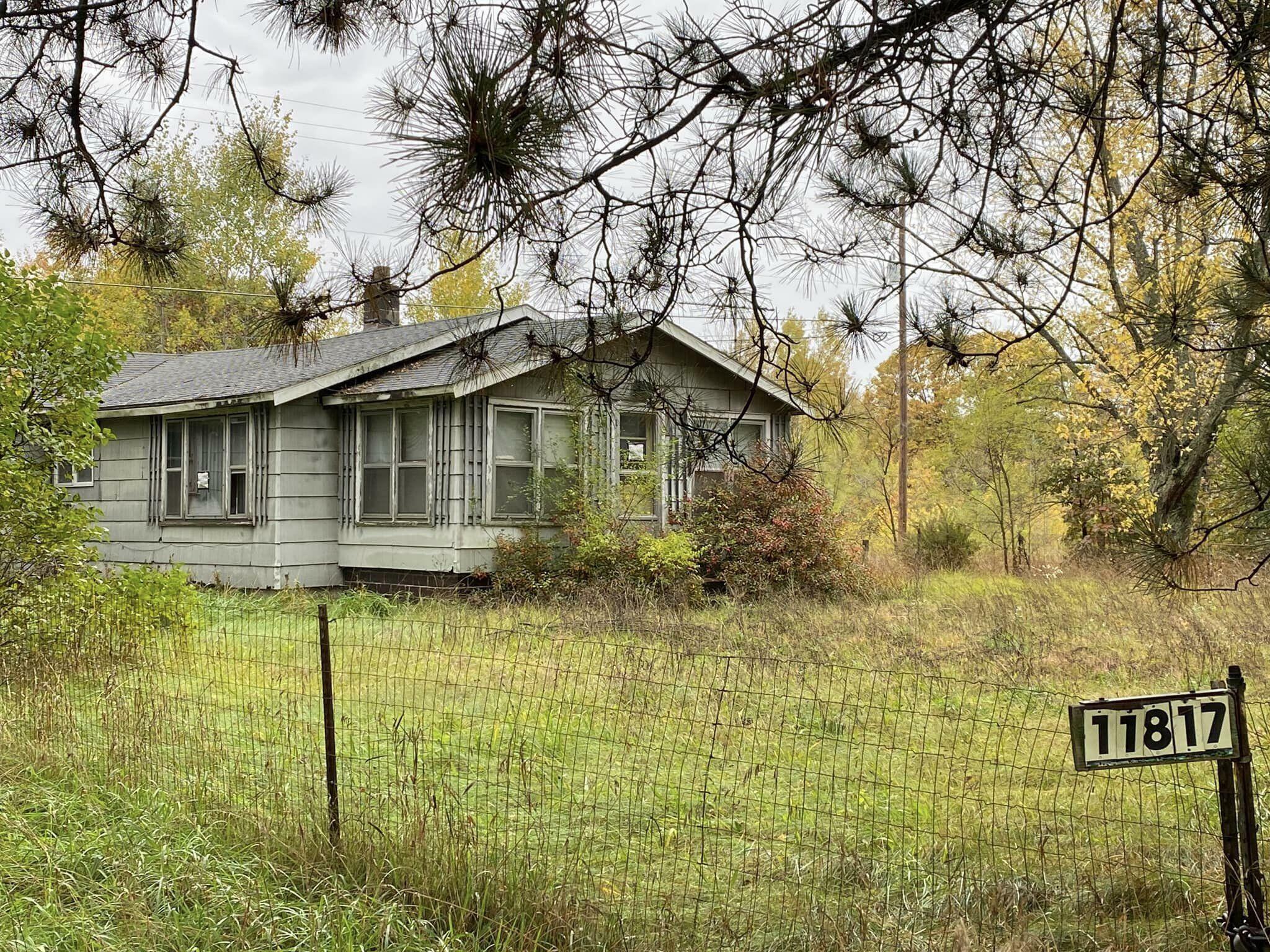 Property Photo:  11817 Lincoln Lake Ave NE Avenue NE  MI 48838 