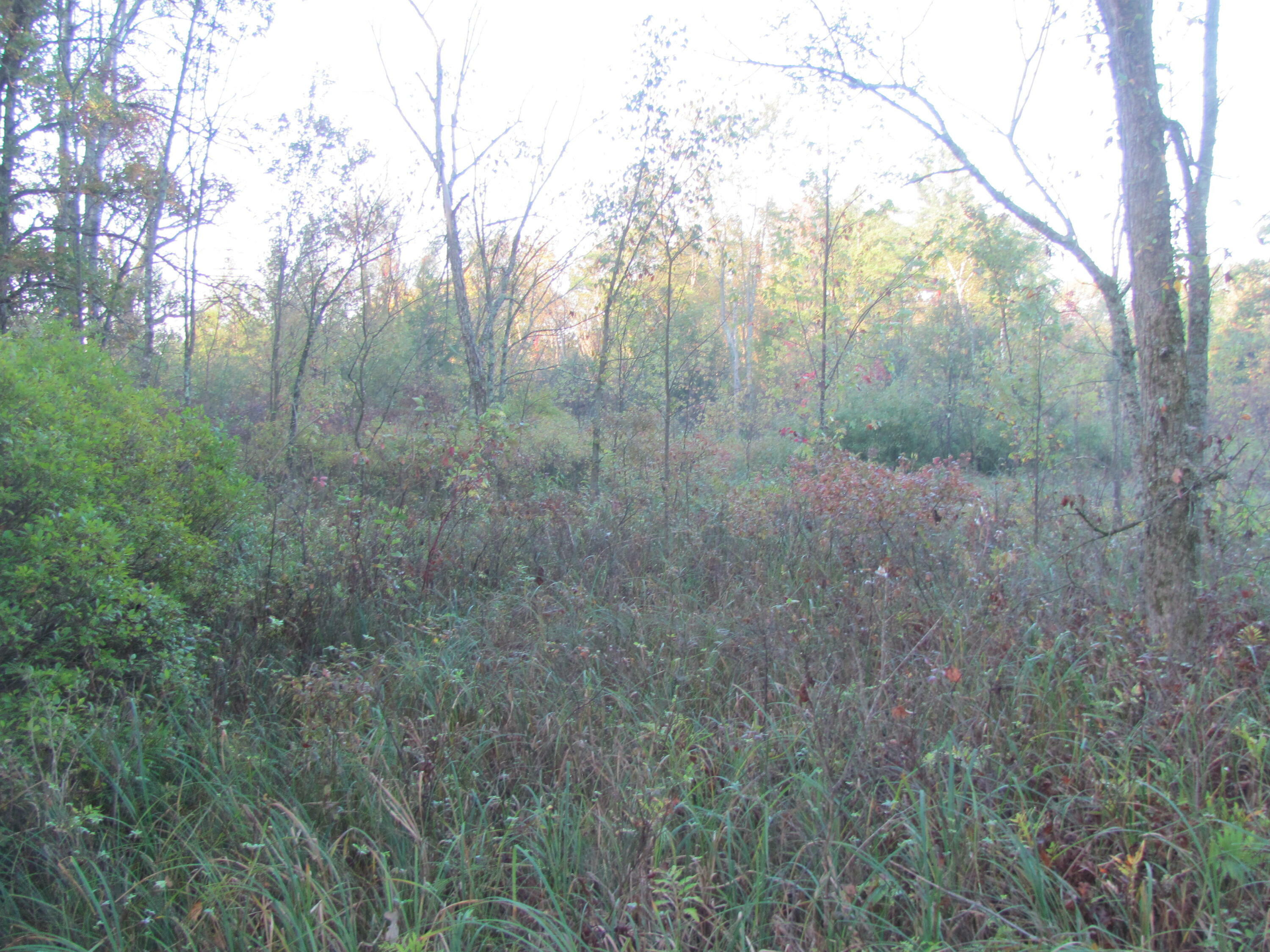 Lot 33 Chicago Rd  Leon WI 54970 photo