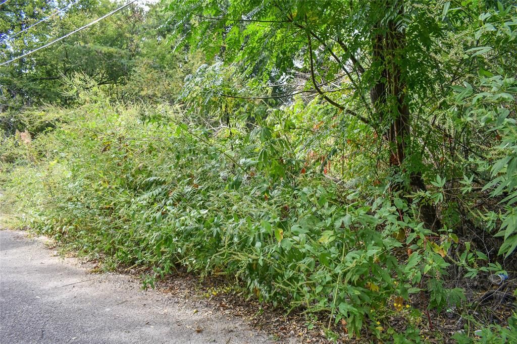 Property Photo:  127 Randolph Street  TX 75482 