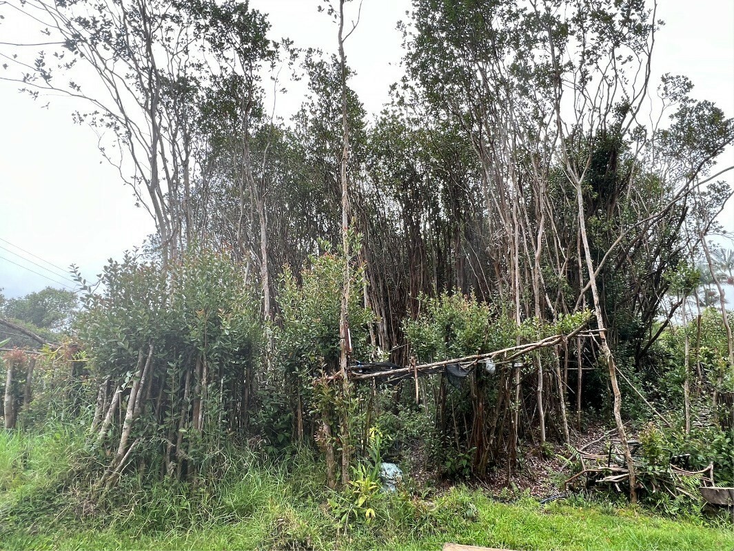 Property Photo:  Oahu St  HI 96771 