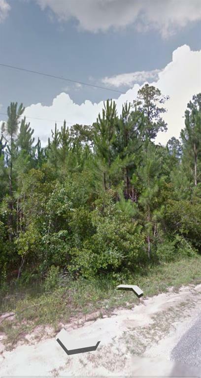 Property Photo:  000 Couey Road  FL 32583 