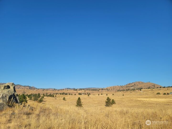 Property Photo: 0 Washington Creek Road WA 98816