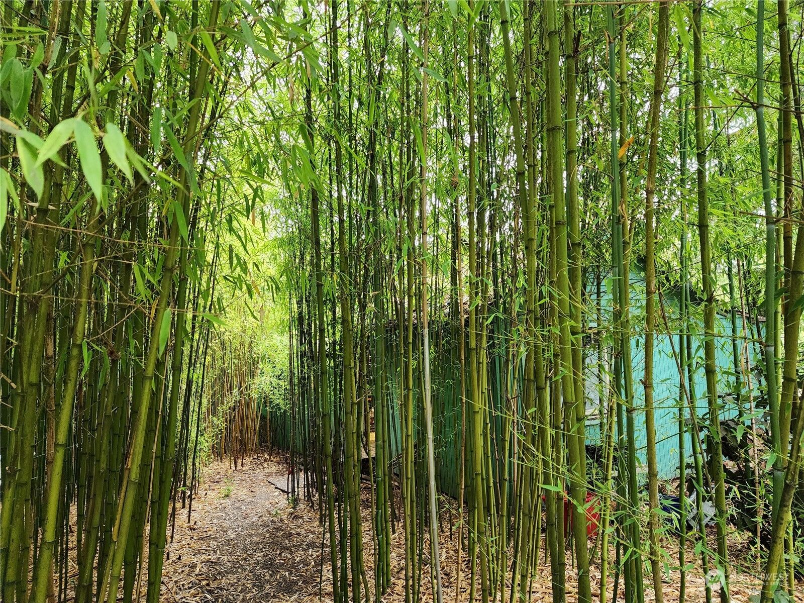 Property Photo: 6531 NE Gunderson Road WA 98370