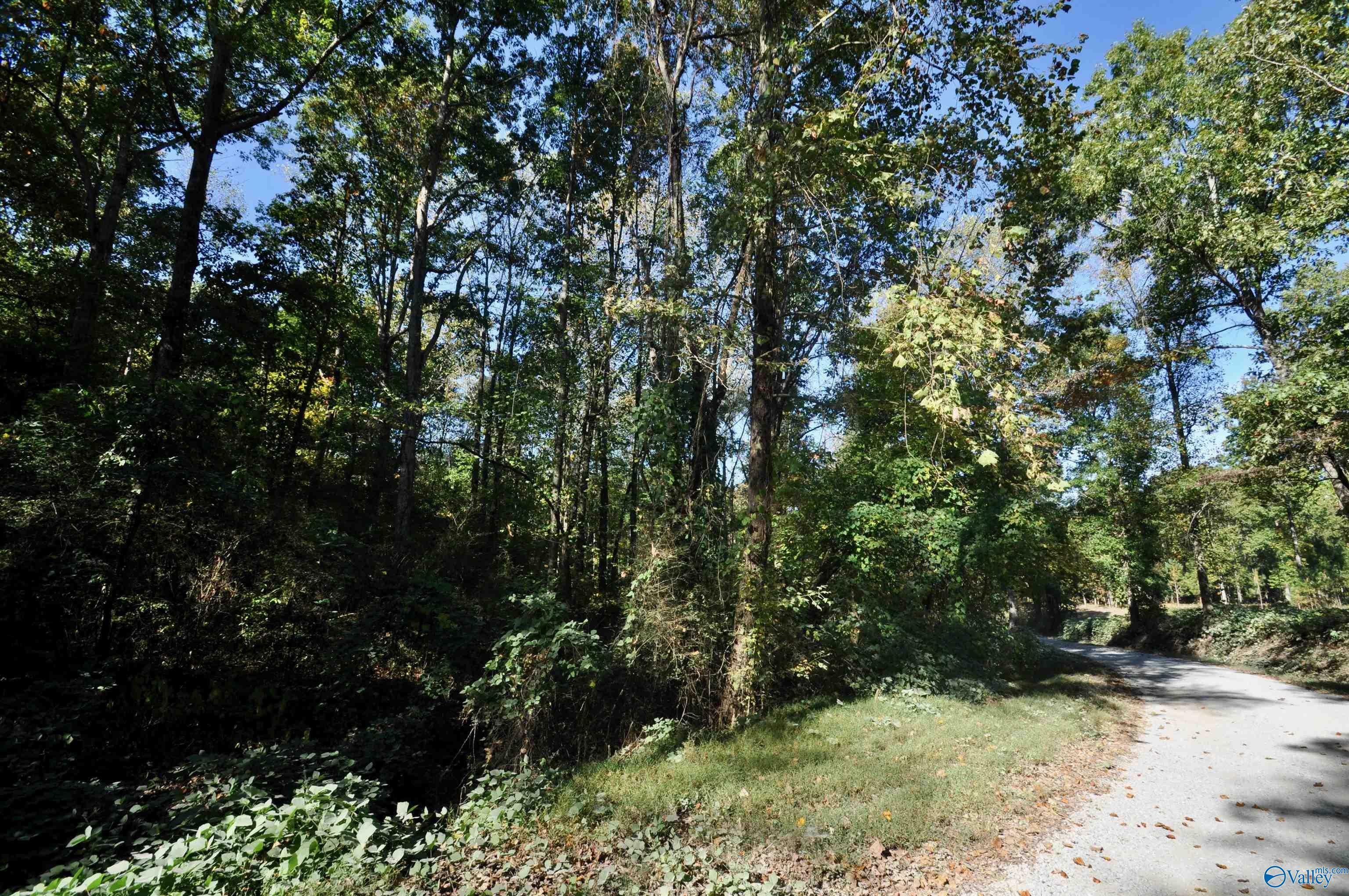 Property Photo:  Lot County Road 1389  AL 35179 