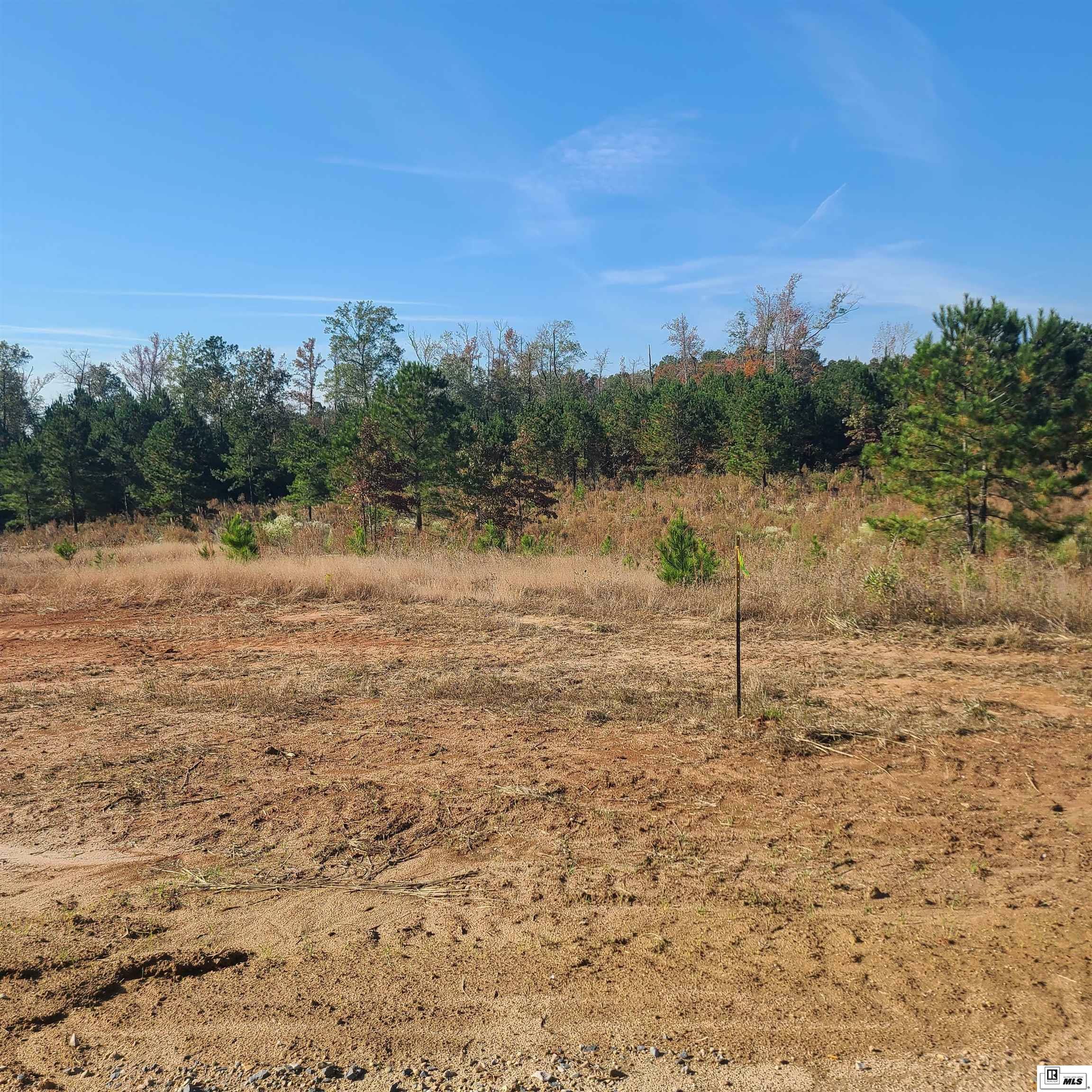 Property Photo: 364 Chief Lane LA 71225