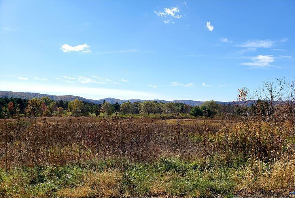 Property Photo:  87 Dry Brook Rd  NY 14825 