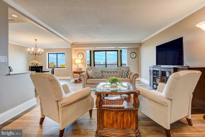 5901 Mount Eagle Drive 918  Alexandria VA 22303 photo