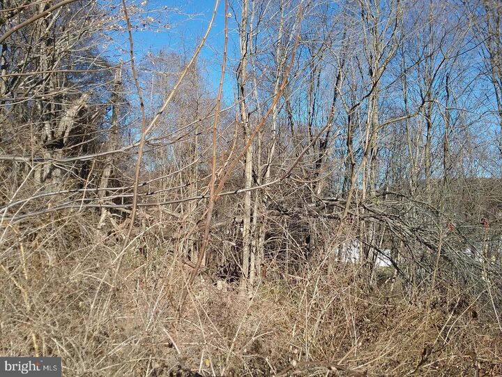 Property Photo:  Route 40 Road  MD 21528 
