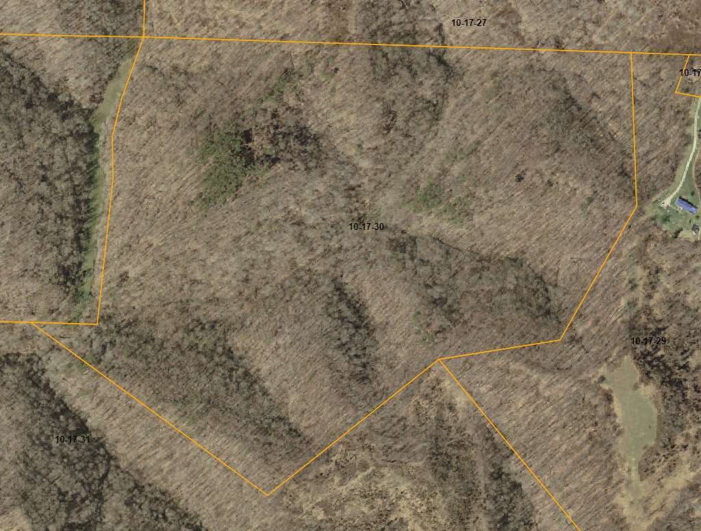 Property Photo:  83.8 Ac 7 Mi Ck  WV 25537 