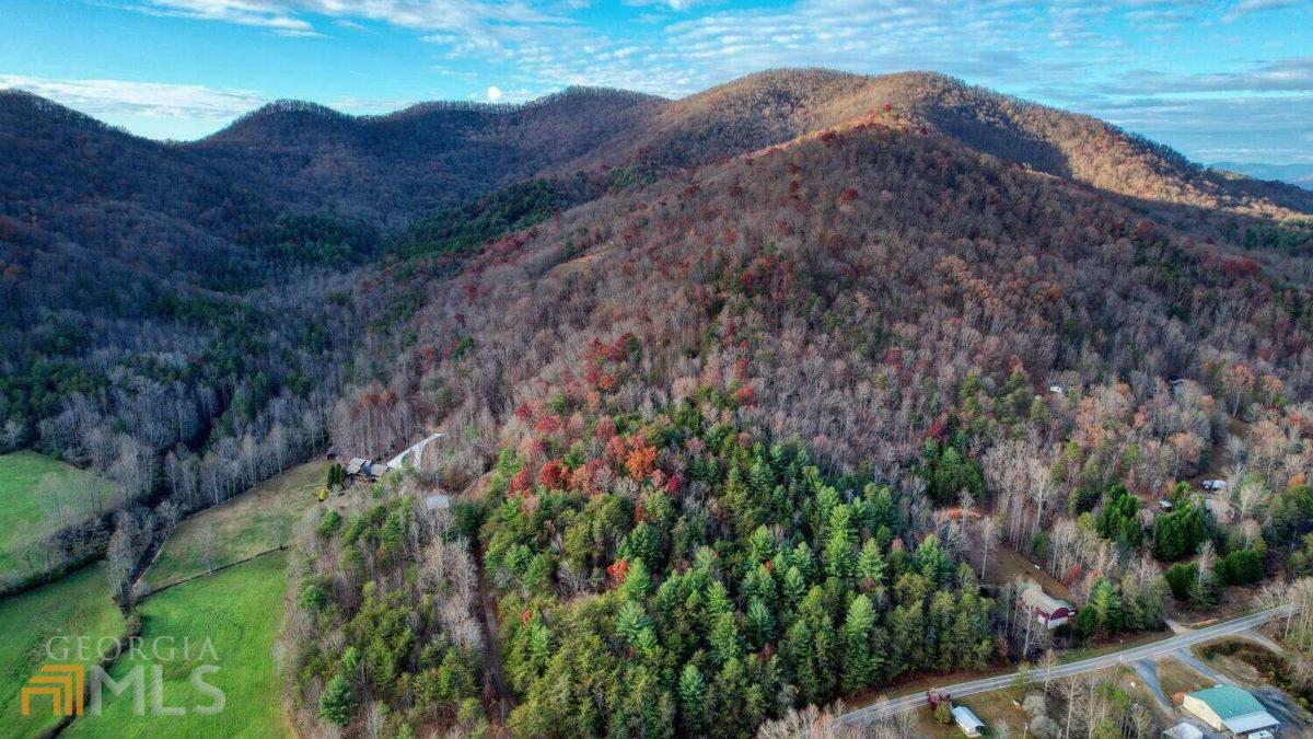 15.59 Ac Trackrock Gap Road  Blairsville GA 30512 photo