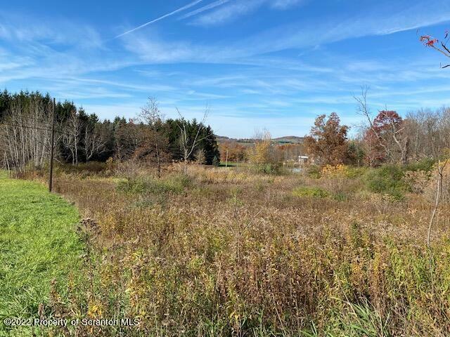 Property Photo:  Dark Hollow Rd  PA 18657 