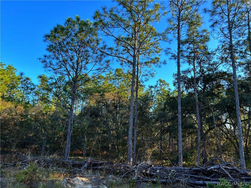 Property Photo:  00000 Seneca Road  FL 34614 