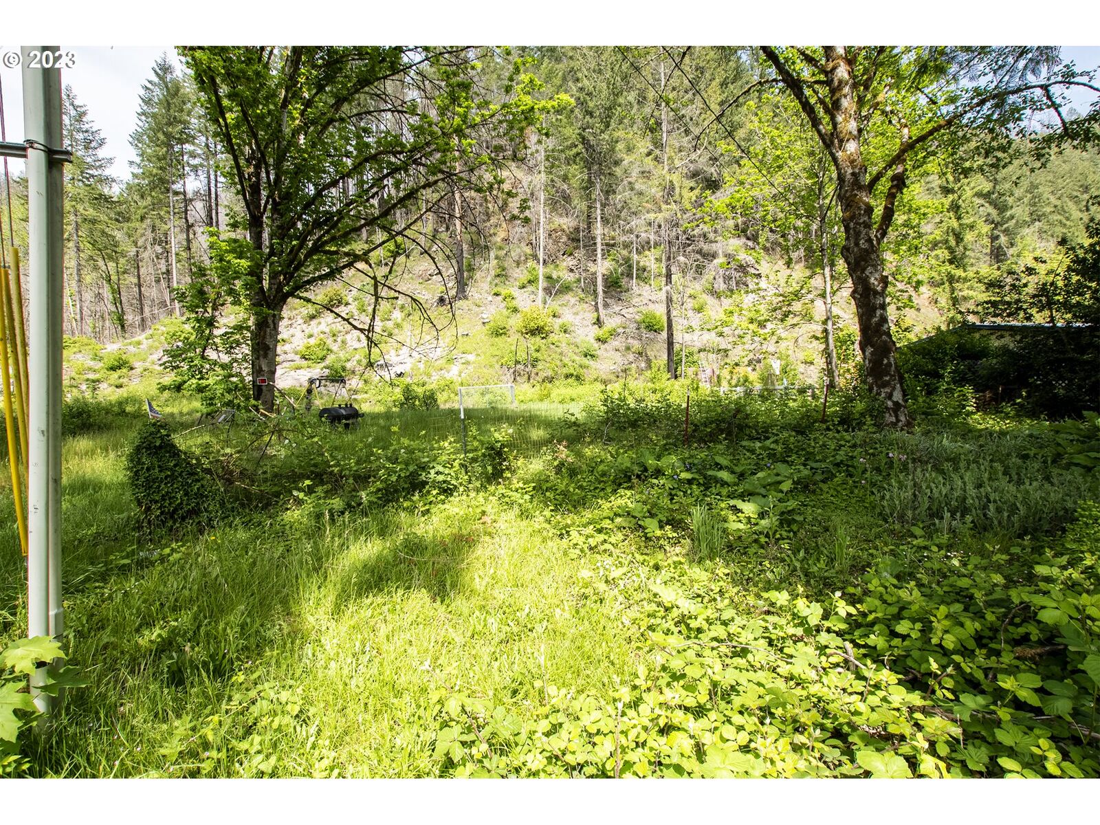 Property Photo: 47987 McKenzie Hwy OR 97488