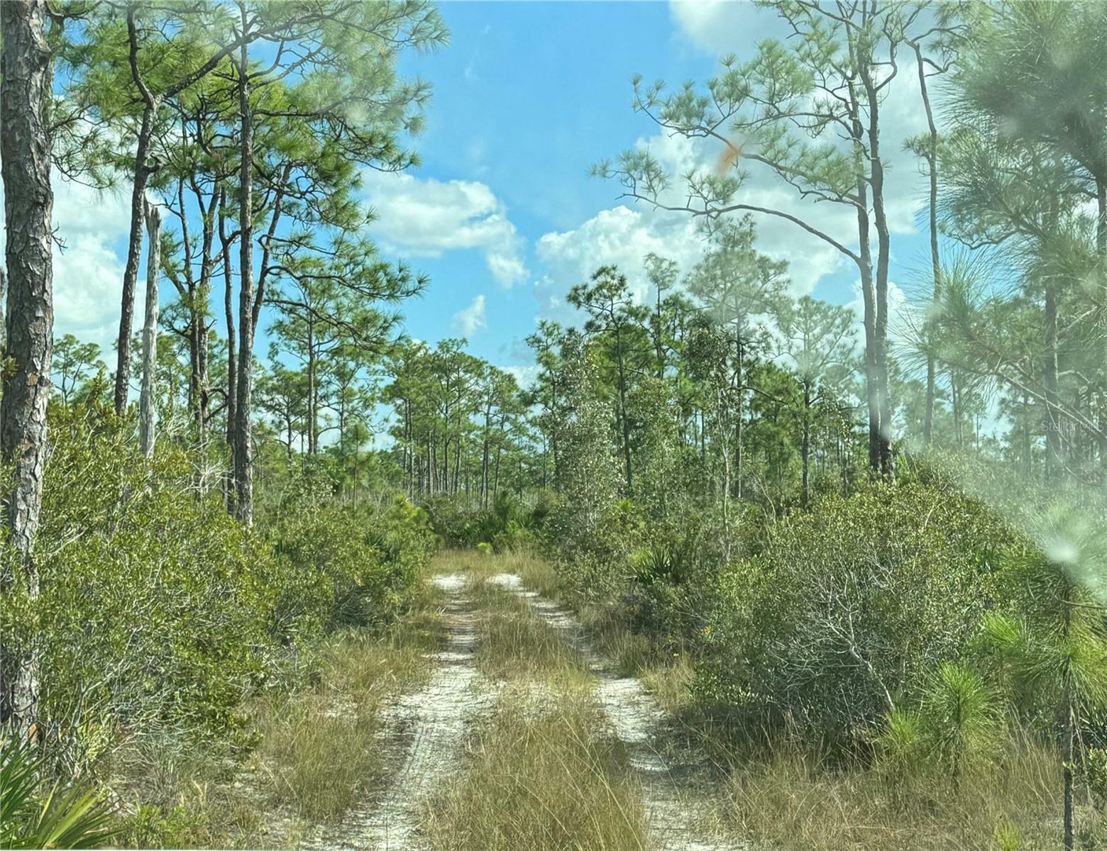 Property Photo:  17480 Burnt Store Road  FL 33955 