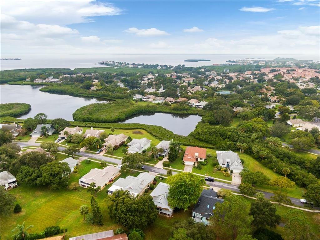 Property Photo:  1006 Lake Avoca Drive  FL 34689 