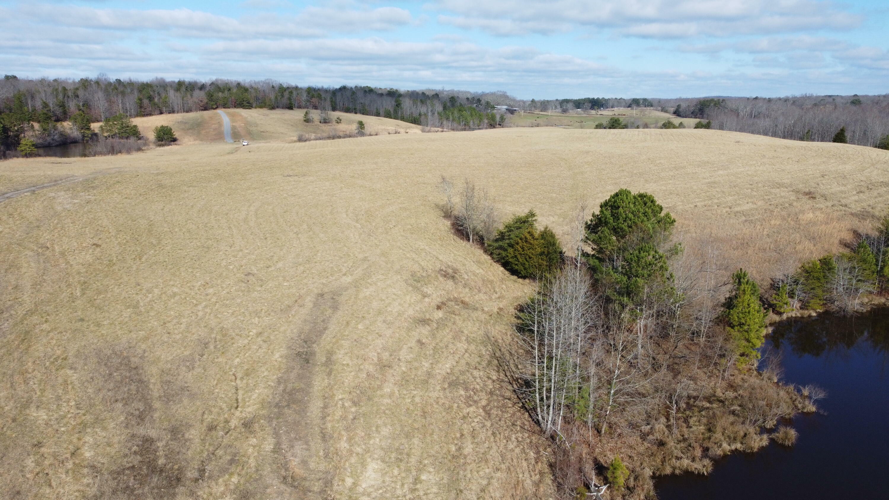 Property Photo:  0 County Rd 92  AL 35979 