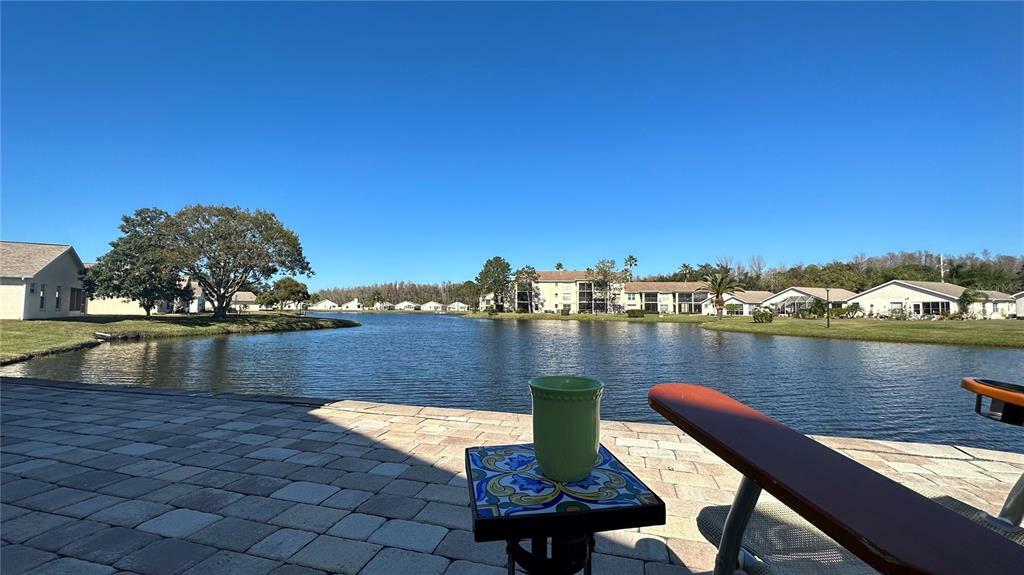 Property Photo: 4425 Whitton Way FL 34653