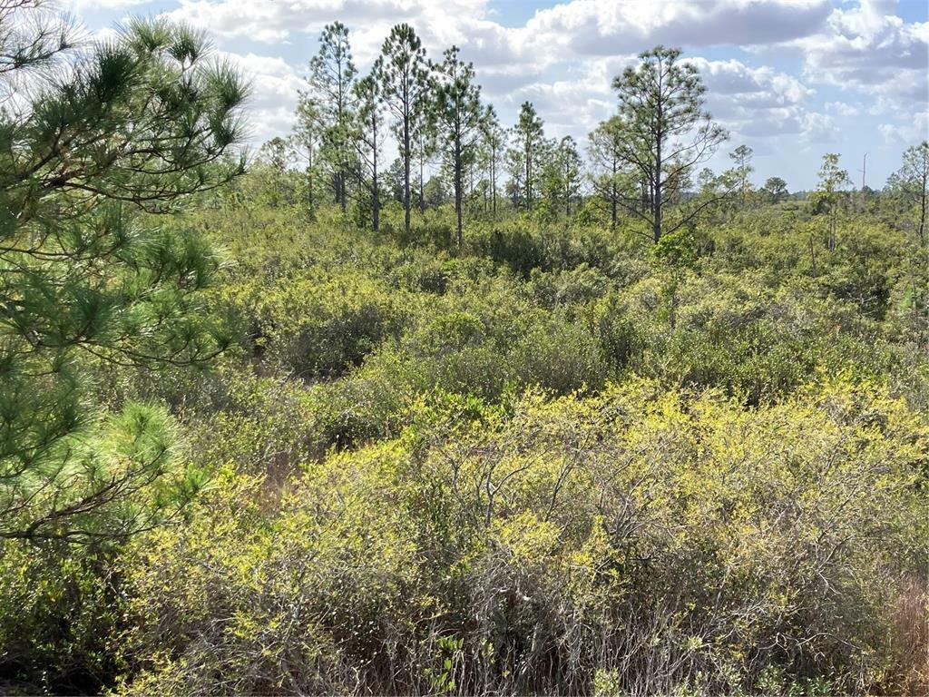 Property Photo:  Tbd SE Bennett Road  FL 32066 