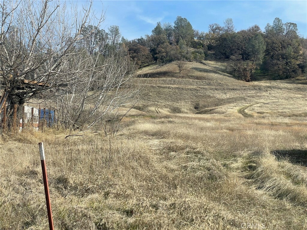 Property Photo: 6780 Live Oak Drive CA 95451
