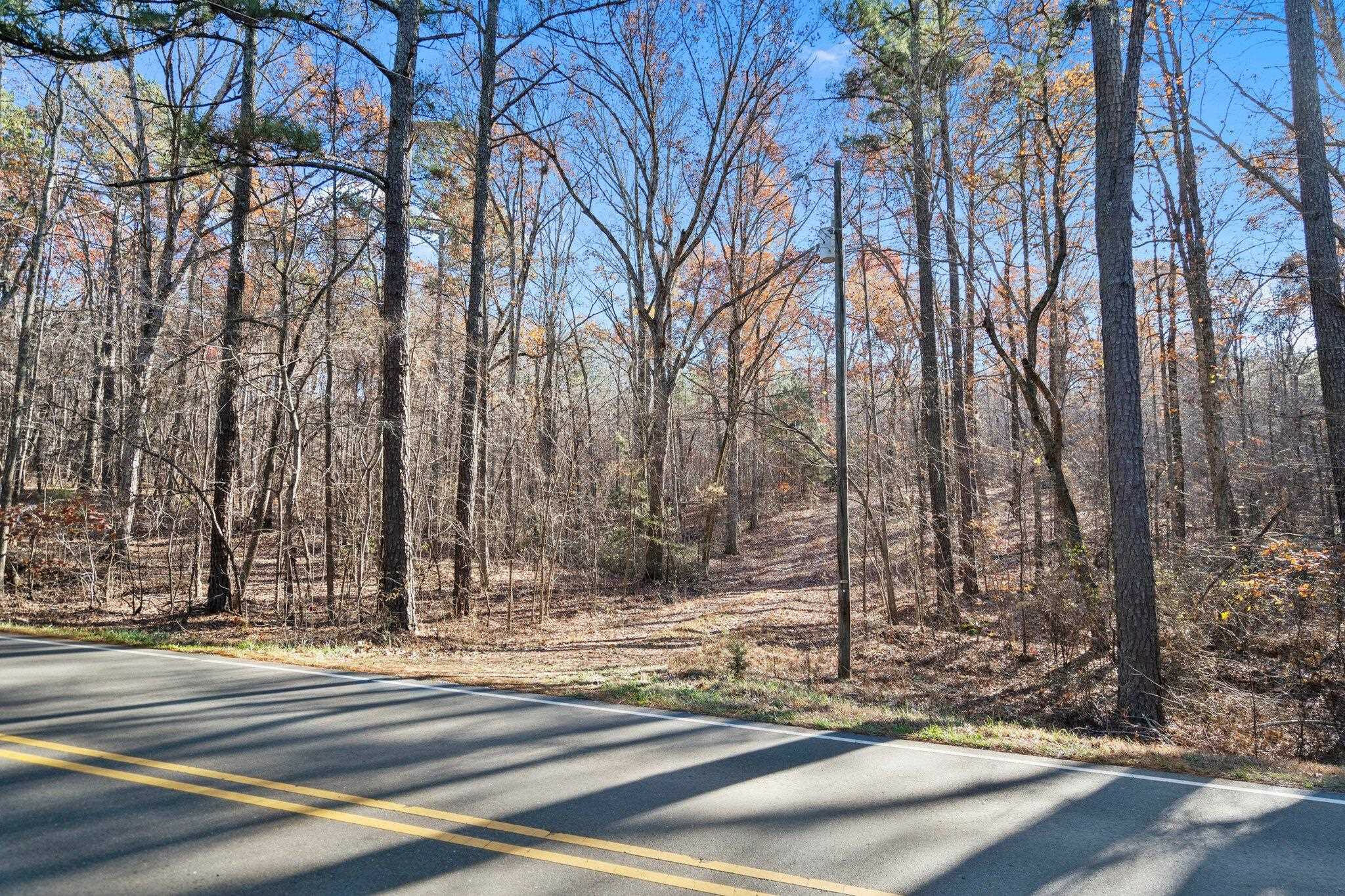 Property Photo:  2911 Silk Hope Gum Springs Road  NC 27312 