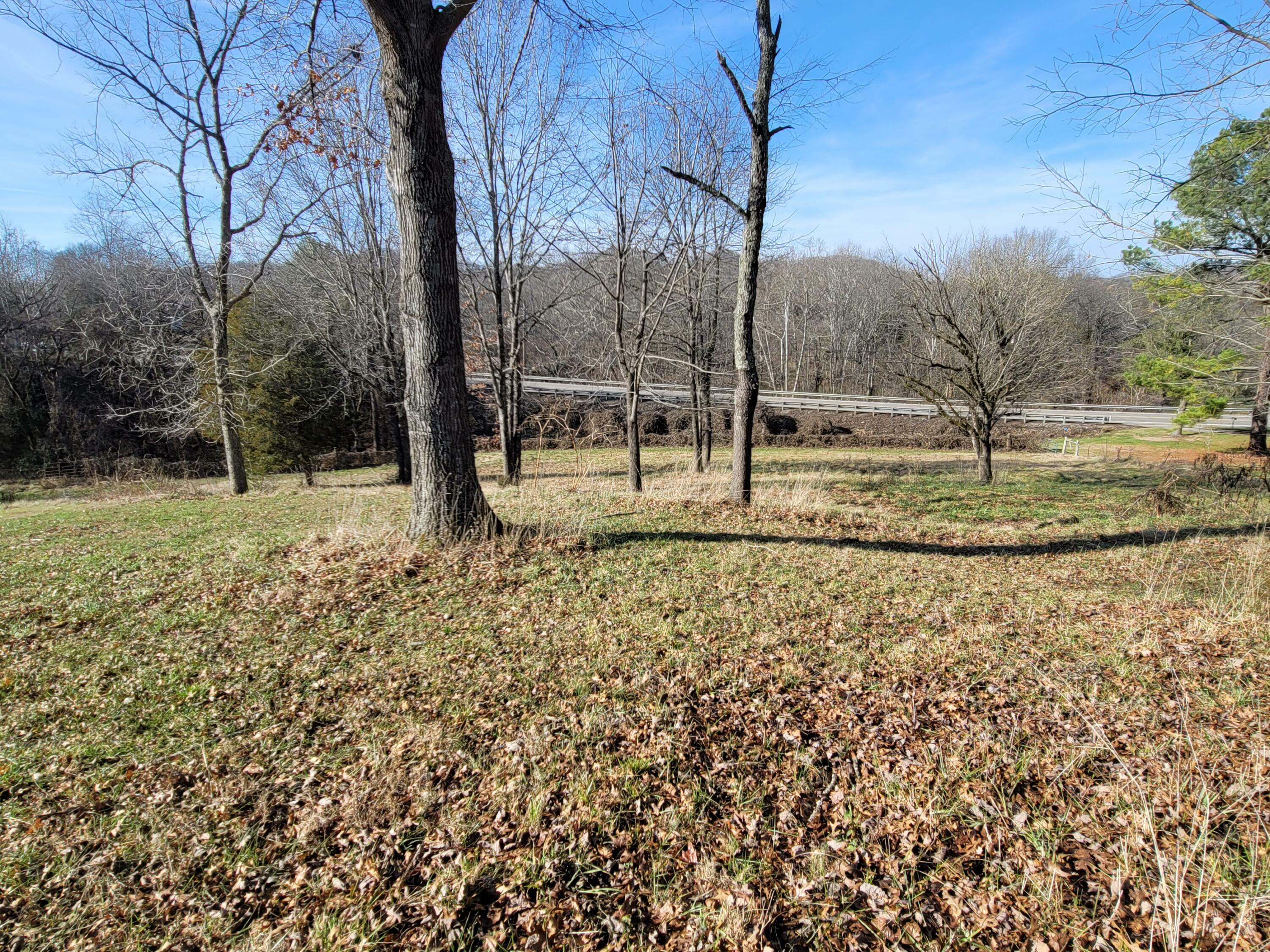 Lot B Baileyton Road  Greeneville TN 37745 photo