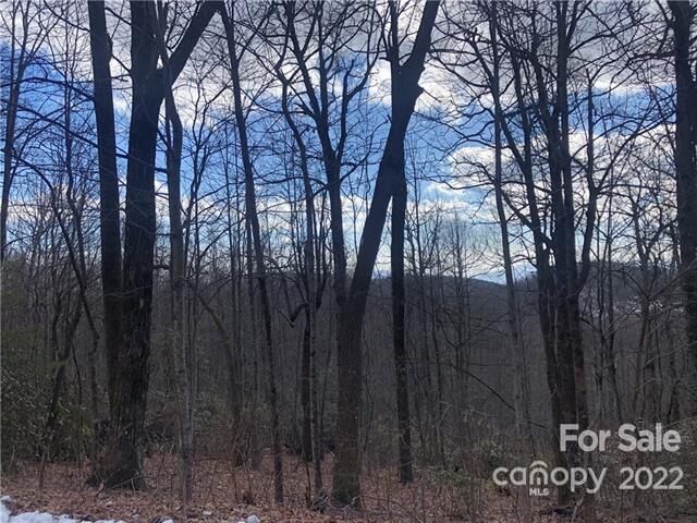 Property Photo: 0000 Sugarloaf Mountain Road NC 28792