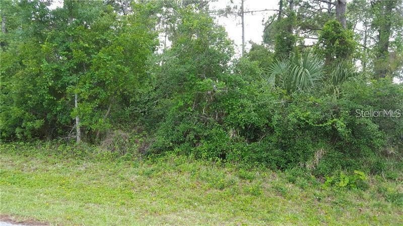 Property Photo:  Victory Palm Drive  FL 32132 