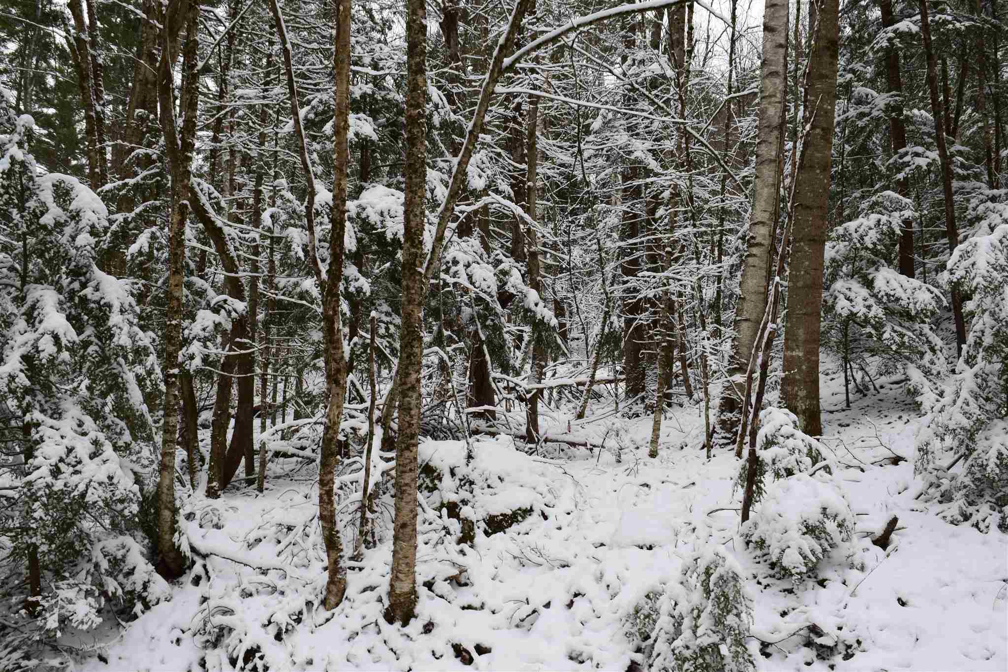 Property Photo: Lot 72 Vernon Drive 72 NH 03765