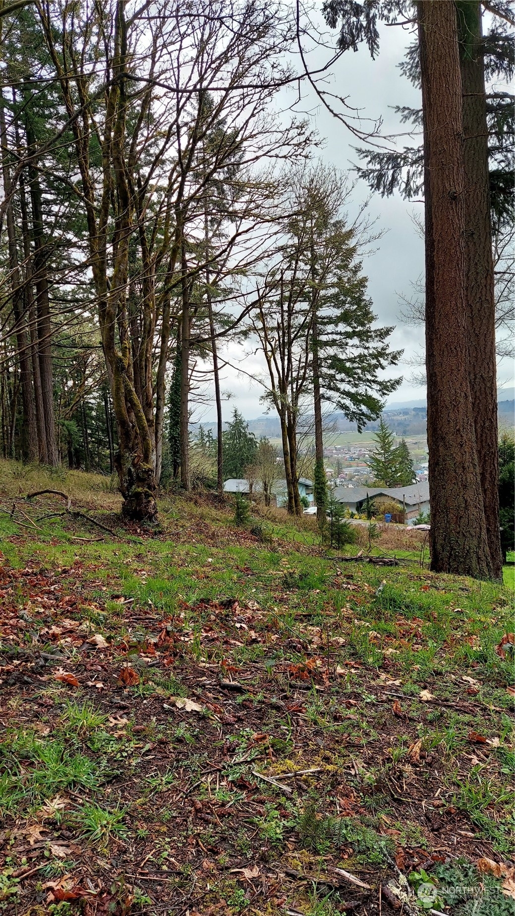 Property Photo:  530 Hilltop Drive  WA 98532 