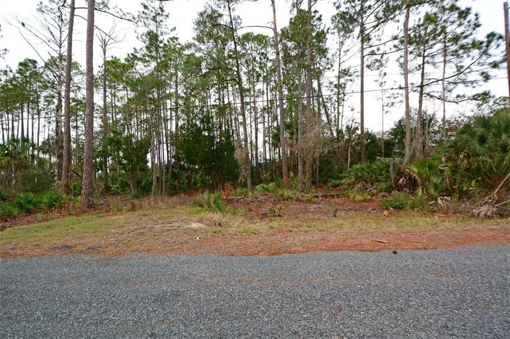 Property Photo:  Lot 14 Palm Circle  FL 32034 